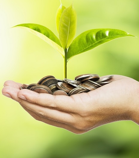 Man hand holding coins and tree look like as planting on greenery background and sunlight for planting.Growth saving and investment concept.