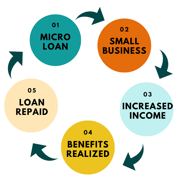 Infographic about micro loans.